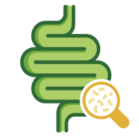 Balances the Gut Microbiome Illustration for Balances the Gut Microbiome